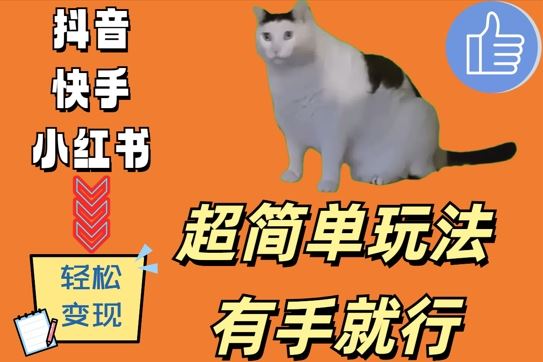 超简单玩法，有手就行，靠猫咪视频日入500+【揭秘】-网亿资源平台