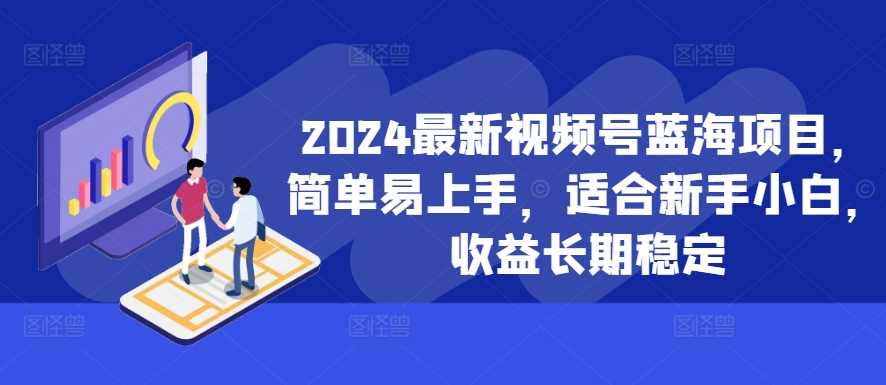 2024最新视频号蓝海项目，简单易上手，适合新手小白，收益长期稳定-网亿资源平台