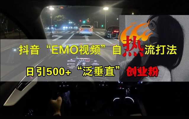 抖音EMO视频自热打法，日引500+“泛垂直”创业粉-网亿资源平台