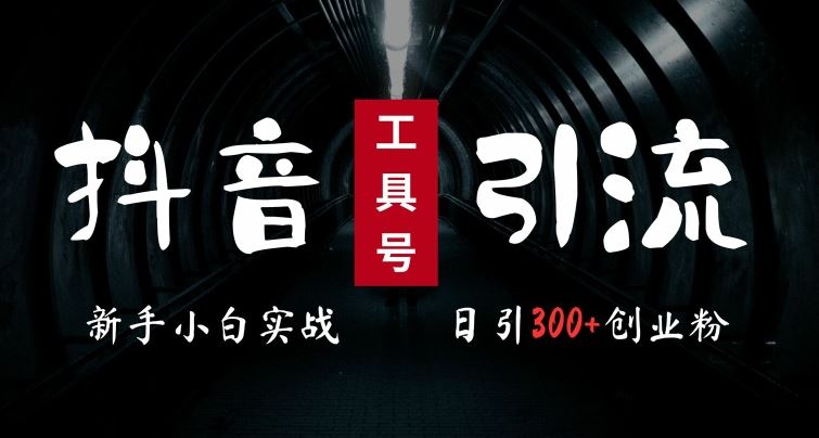 2024最新抖音工具号引流玩法，高效日引300+创业粉，当天变现5k，小白也可成为实战高手-网亿资源平台
