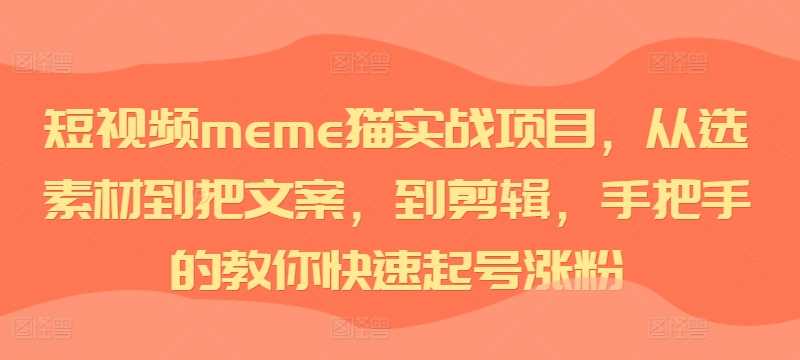 短视频meme猫实战项目，从选素材到把文案，到剪辑，手把手的教你快速起号涨粉-网亿资源平台