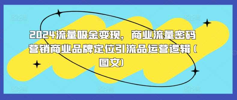2024流量吸金变现，商业流量密码营销商业品牌定位引流品运营逻辑(图文)-网亿资源平台