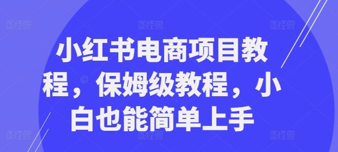 小红书电商项目教程，保姆级教程，小白也能简单上手-网亿资源平台