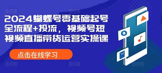 2024蝴蝶号零基础起号全流程+投流，视频号短视频直播带货运营实操课-网亿资源平台