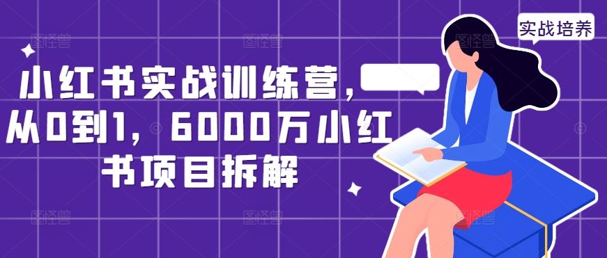 小红书实战训练营，从0到1，6000万小红书项目拆解-网亿资源平台