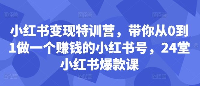 小红书变现特训营，带你从0到1做一个赚钱的小红书号，24堂小红书爆款课-网亿资源平台