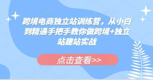 跨境电商独立站训练营，从小白到精通手把手教你做跨境+独立站建站实战-皓哥创业笔记