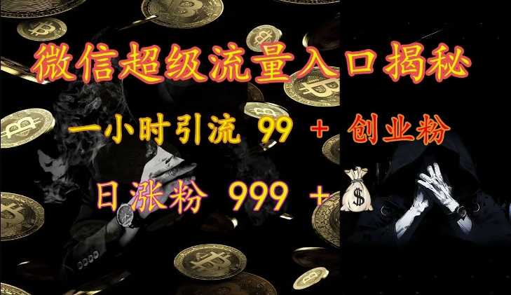 微信超级流量入口揭秘：一小时引流 99 + 创业粉，日涨粉 999 +-邪修侠 - 演示