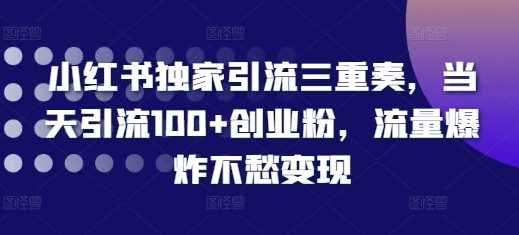 小红书独家引流三重奏，当天引流100+创业粉，流量爆炸不愁变现【揭秘】-网亿资源平台