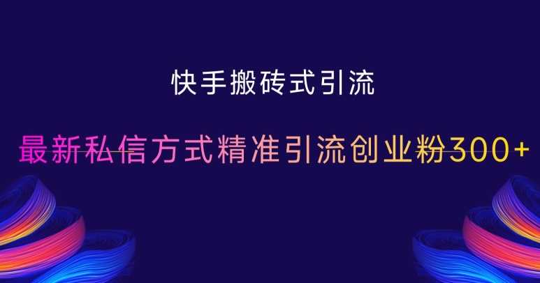 快手搬砖式引流，最新私信方式精准引流创业粉300+-邪修侠 - 演示