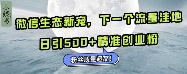 微信生态新宠小绿书：下一个流量洼地，日引500+精准创业粉，粉丝质量超高-网亿资源平台