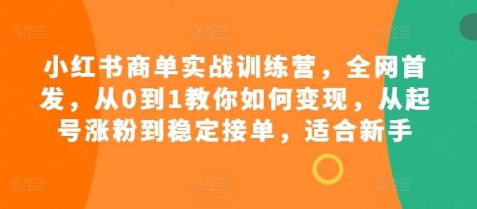 小红书商单实战训练营，全网首发，从0到1教你如何变现，从起号涨粉到稳定接单，适合新手-网亿资源平台