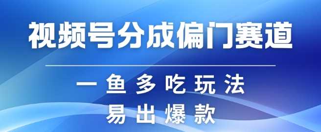 视频号创作者分成计划偏门类目，容易爆流，实拍内容简单易做【揭秘】-网亿资源平台