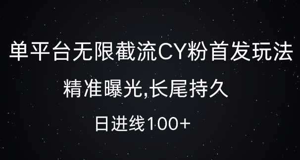 单平台无限截流创业粉首发玩法，精准曝光，长尾持久，日引流100+【揭秘】-网亿资源平台