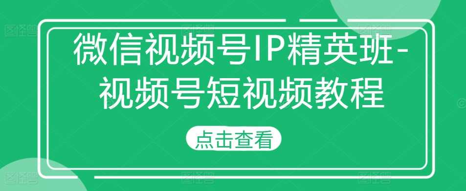 微信视频号IP精英班-视频号短视频教程-网亿资源平台