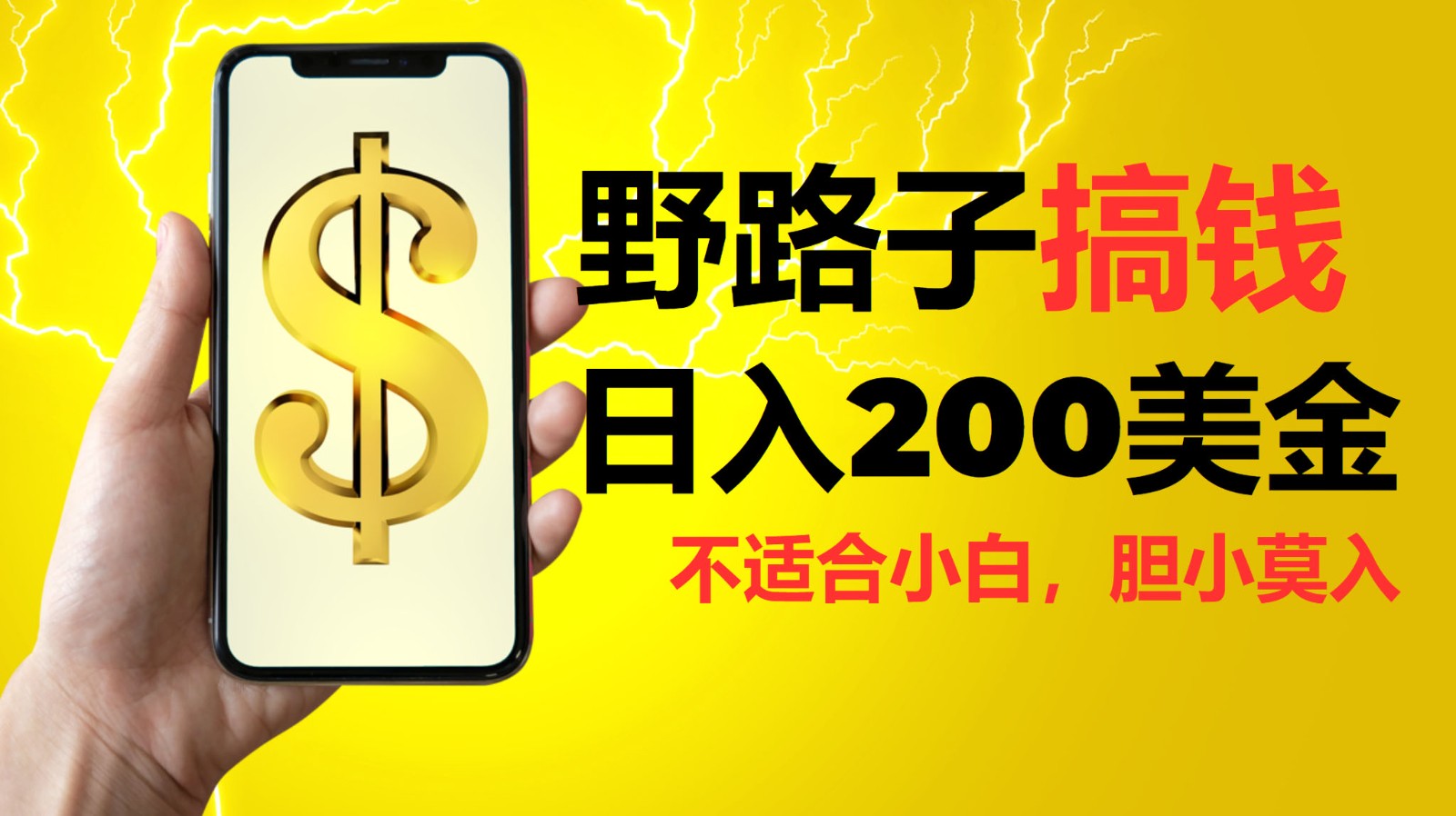 挂机野路子搞钱，日入200美金，路子很野，小白莫入-邪修侠 - 演示