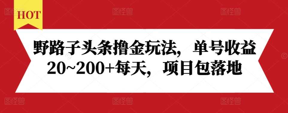 野路子头条撸金玩法，单号收益20~200+每天，项目包落地-网亿资源平台