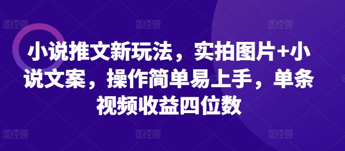 小说推文新玩法，实拍图片+小说文案，操作简单易上手，单条视频收益四位数-网亿资源平台