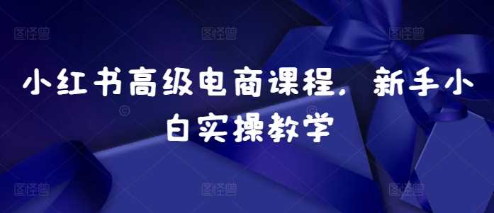 小红书高级电商课程，新手小白实操教学-网亿资源平台