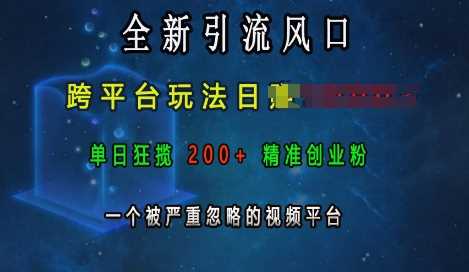 全新引流风口，跨平台玩法日入上k，单日狂揽200+精准创业粉，一个被严重忽略的视频平台-皓哥创业笔记