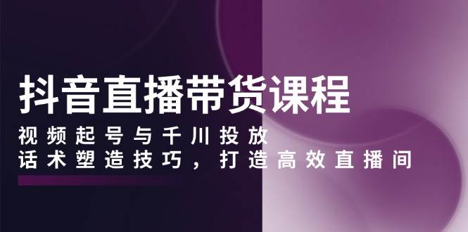 抖音直播带货课程,视频起号与千川投放,话术塑造技巧,打造高效直播间-邪修侠 - 演示