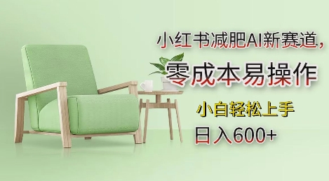 小红书减肥AI新赛道，零成本易操作，日入多张，小白轻松上手【揭秘】-皓哥创业笔记