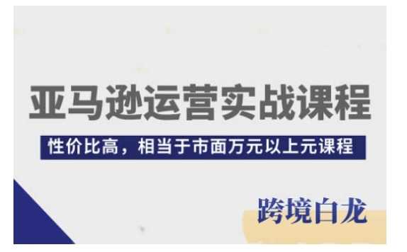 亚马逊运营实战课程，亚马逊从入门到精通，性价比高，相当于市面万元以上元课程-皓哥创业笔记