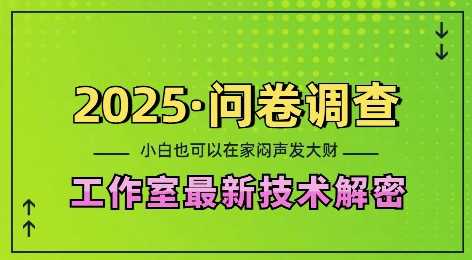 2025问卷调查最新工作室技术解密：一个人在家也可以闷声发大财，小白一天2张，可矩阵放大【揭秘】-皓哥创业笔记