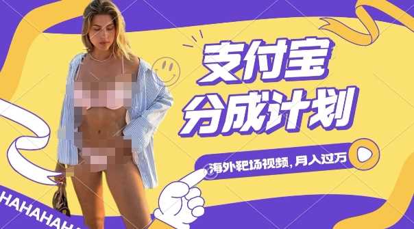 利用海外靶场射击视频,挣支付宝分成收益,轻松月入过W【揭秘】-皓哥创业笔记