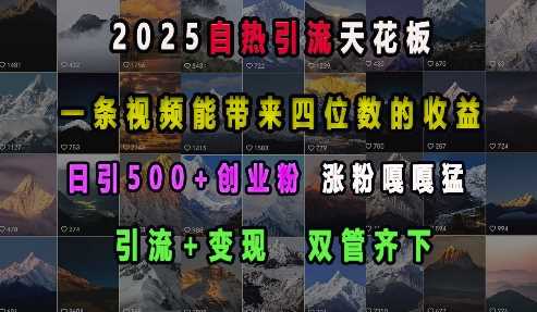 2025自热引流天花板，一条视频能带来四位数的收益，引流+变现双管齐下，日引500+创业粉，涨粉嘎嘎猛-皓哥创业笔记