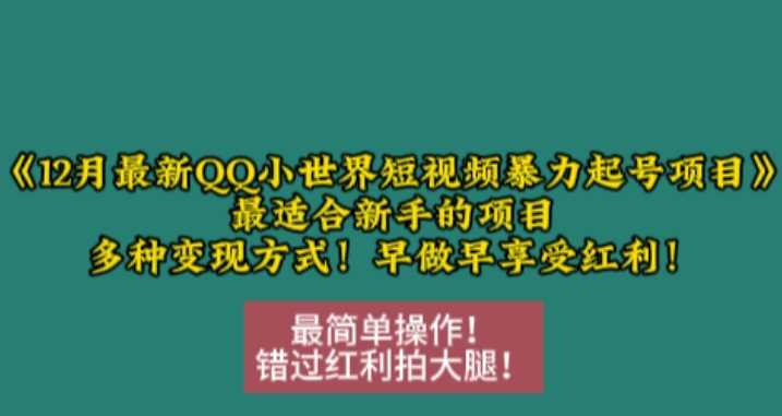 12月最新QQ小世界短视频暴力起号项目，最适合新手的项目，多种变现方式-皓哥创业笔记