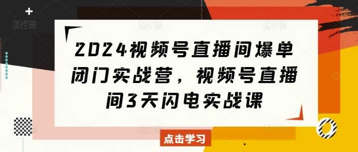 2024视频号直播间爆单闭门实战营，视频号直播间3天闪电实战课-皓哥创业笔记