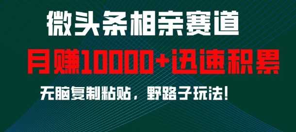微头条相亲赛道，迅速积累，无脑复制粘贴，野路子玩法，月入1w-皓哥创业笔记