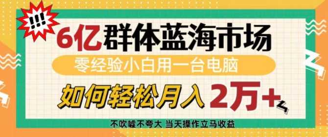 6亿群体蓝海市场,零经验小白用一台电脑,如何轻松月入过w【揭秘】-皓哥创业笔记