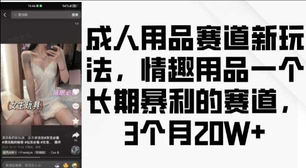 成人用品赛道新玩法,情趣用品一个长期暴利的赛道,3个月收益20个【揭秘】-皓哥创业笔记