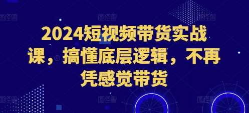 2024短视频带货实战课,搞懂底层逻辑,不再凭感觉带货-皓哥创业笔记