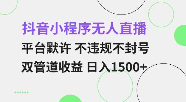 抖音小程序无人直播 平台默许 不违规不封号 双管道收益 日入多张 小白也能轻松操作【仅揭秘】-皓哥创业笔记
