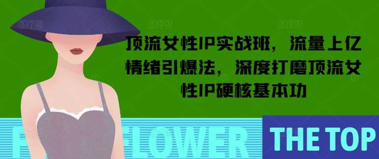 顶流女性IP实战班，流量上亿情绪引爆法，深度打磨顶流女性IP硬核基本功-皓哥创业笔记