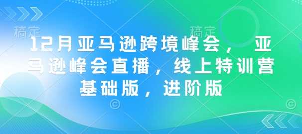 12月亚马逊跨境峰会， 亚马逊峰会直播，线上特训营基础版，进阶版-皓哥创业笔记