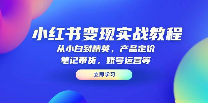小红书变现实战教程：从小白到精英，产品定价，笔记带货，账号运营等-网亿资源平台