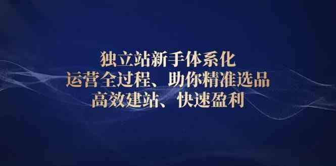 独立站新手体系化 运营全过程,助你精准选品、高效建站、快速盈利-网亿资源平台