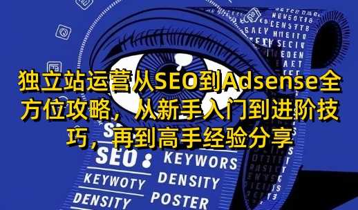 独立站运营从SEO到Adsense全方位攻略,从新手入门到进阶技巧,再到高手经验分享-皓哥创业笔记