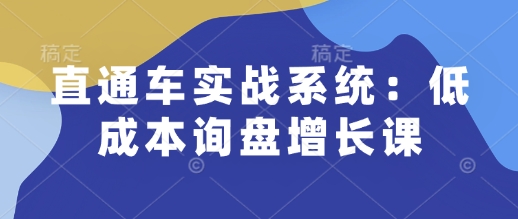 直通车实战系统：低成本询盘增长课，让个人通过技能实现升职加薪，让企业低成本获客，订单源源不断-皓哥创业笔记