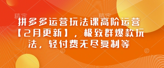 拼多多运营玩法课高阶运营【2月更新】,极致群爆款玩法,轻付费无尽复制等-皓哥创业笔记