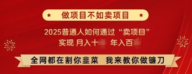 必看，做项目不如卖项目，2025普通人如何通过“卖项目”实现月入十个，年入百个-皓哥创业笔记