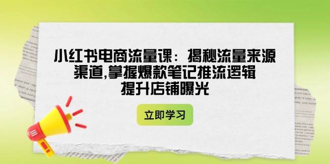 小红书电商流量课:揭秘流量来源渠道,掌握爆款笔记推流逻辑,提升店铺曝光-邪修侠 - 演示