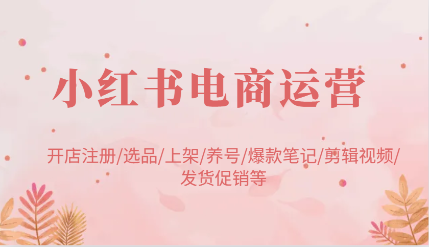 小红书电商运营：开店注册/选品/上架/养号/爆款笔记/剪辑视频/发货促销等-网亿资源平台