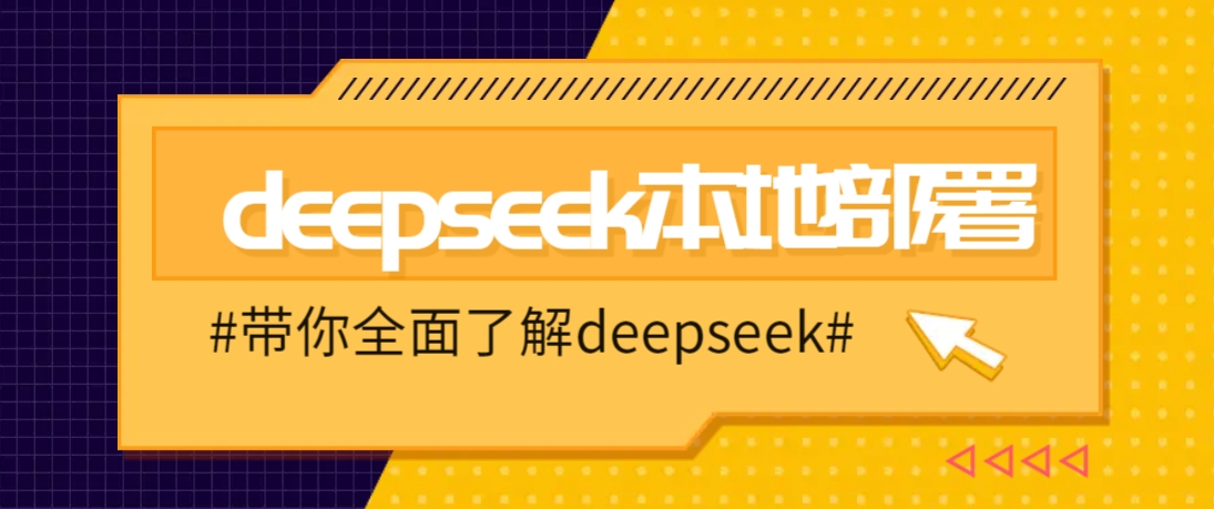 DeepSeek本地部署详细教程，轻松将deepseek部署到你的电脑上-网亿资源平台