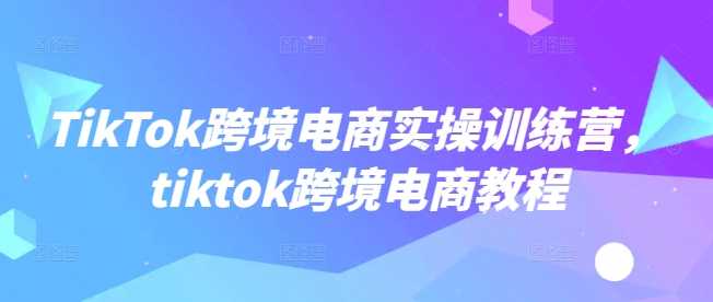 TikTok跨境电商实操训练营，tiktok跨境电商教程-皓哥创业笔记