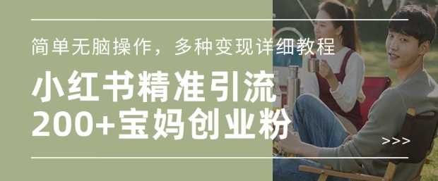 小红书混剪日引200+宝妈创业粉，简单无脑操作，多种变现详细教程-皓哥创业笔记